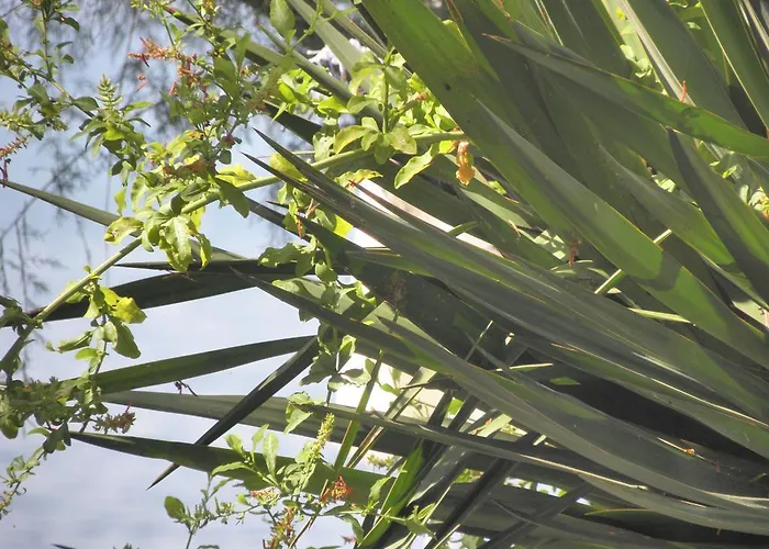 Vendégház Mediteran